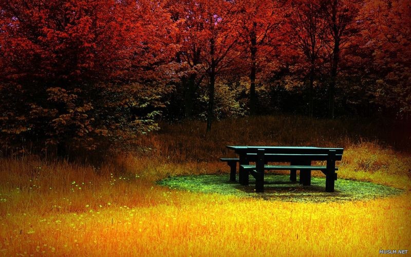 desktop 1111