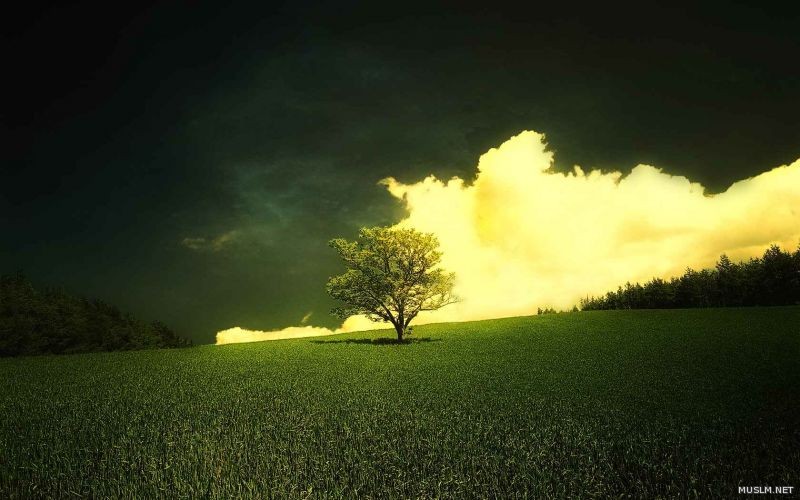 desktop 1146