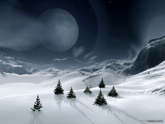 desktop 115