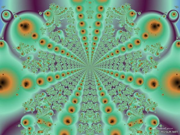 desktop 116