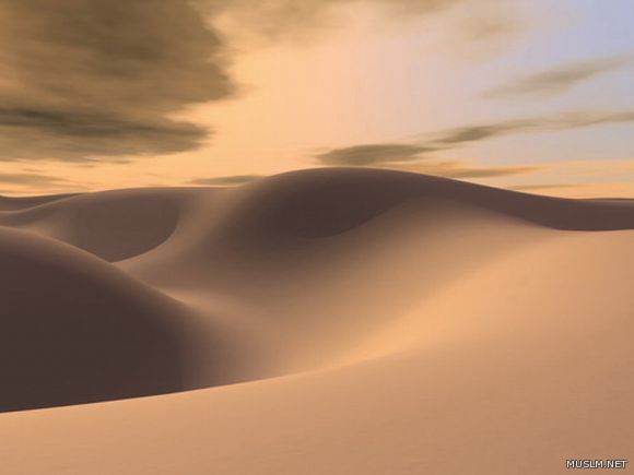desktop 1228