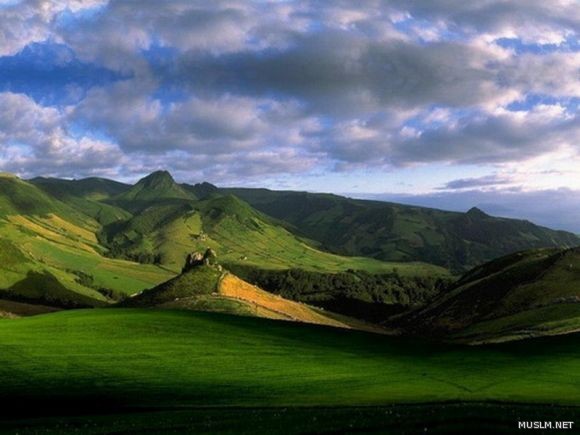 desktop 1286