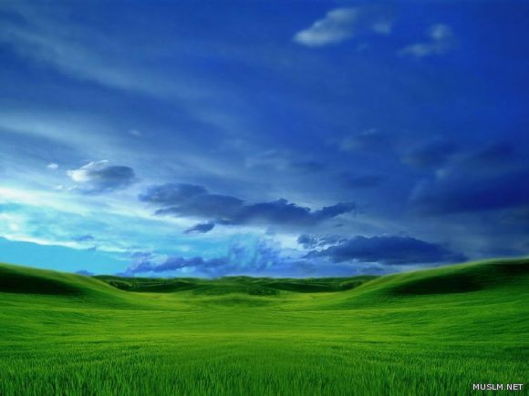 desktop 1321
