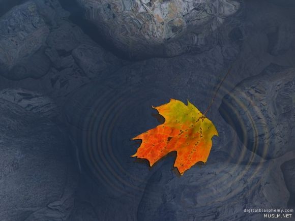 desktop 1411
