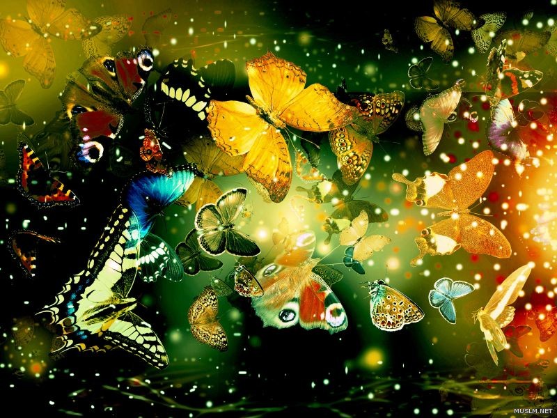 desktop 142