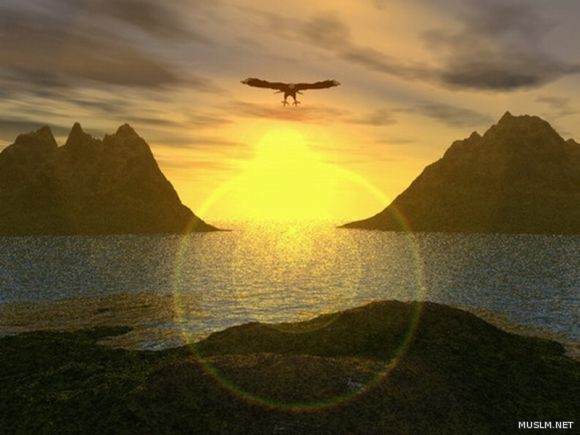 desktop 1498