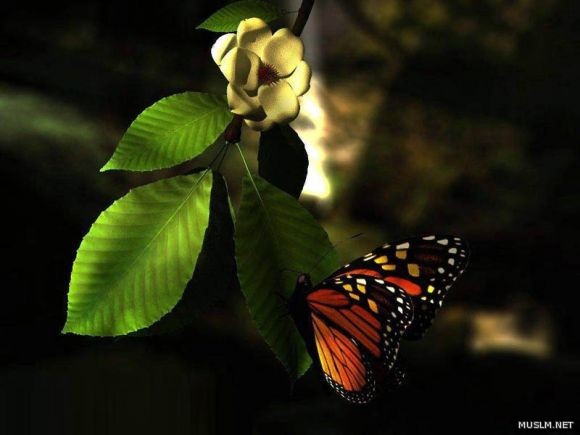 desktop 1506