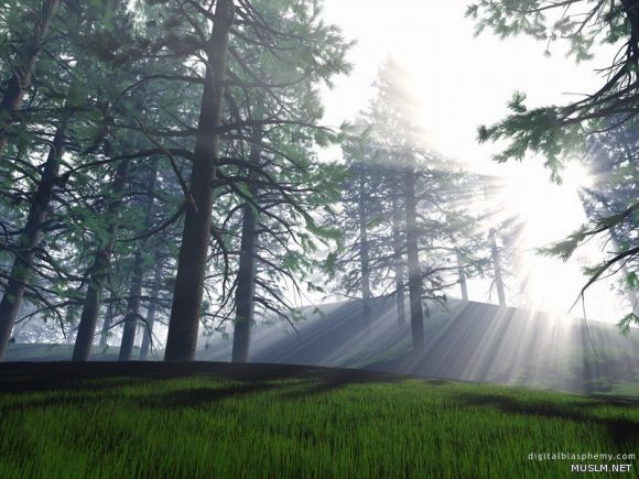 desktop 1553