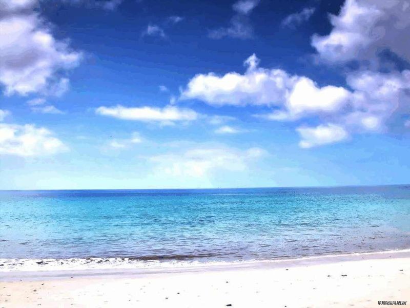 desktop 16