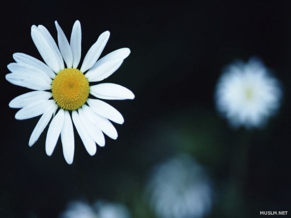 desktop 165