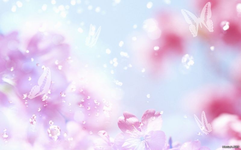 desktop 206