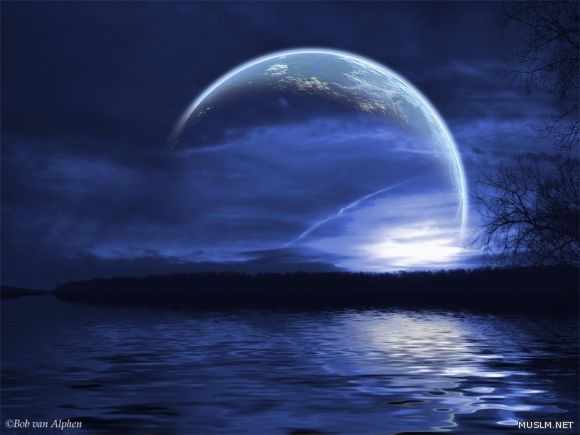 desktop 269