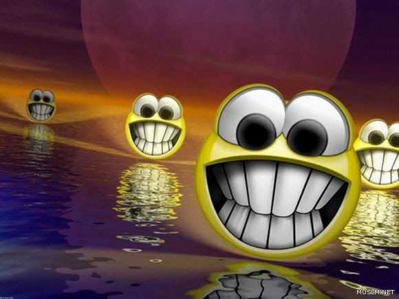 desktop 282