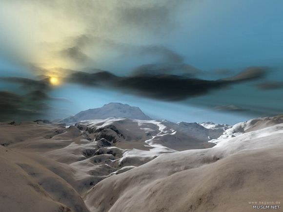 desktop 317