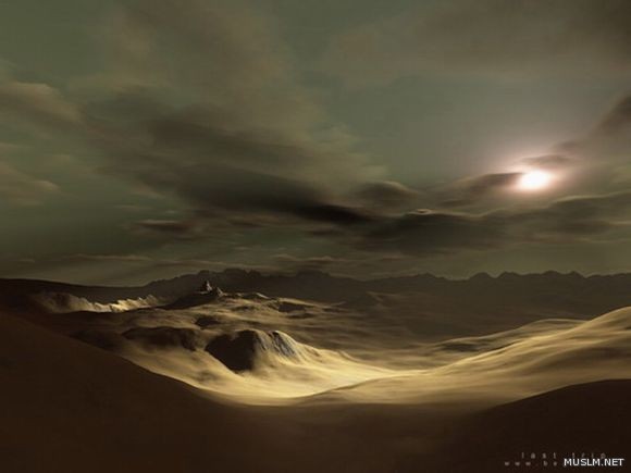 desktop 337