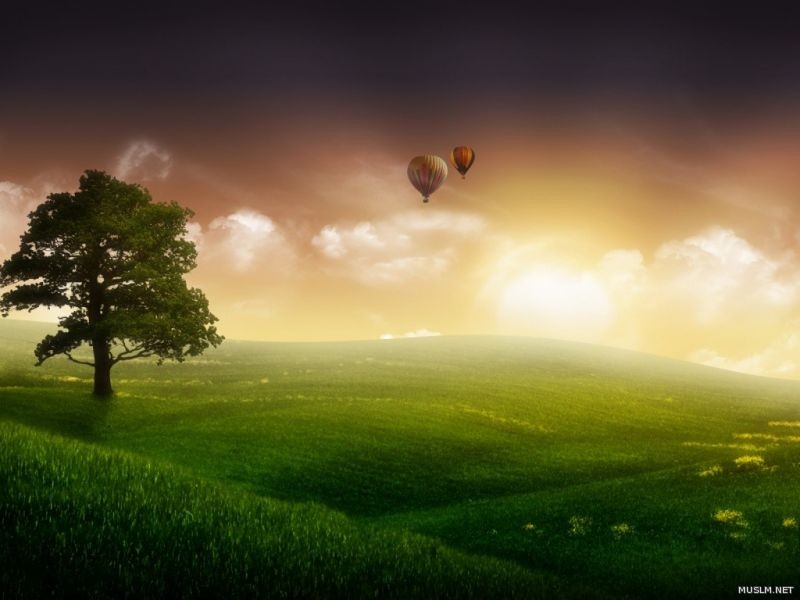 desktop 392