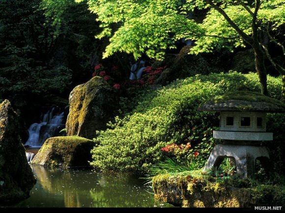desktop 395
