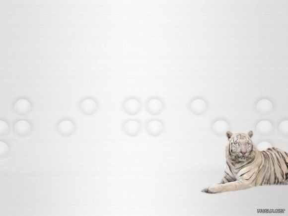 desktop 695
