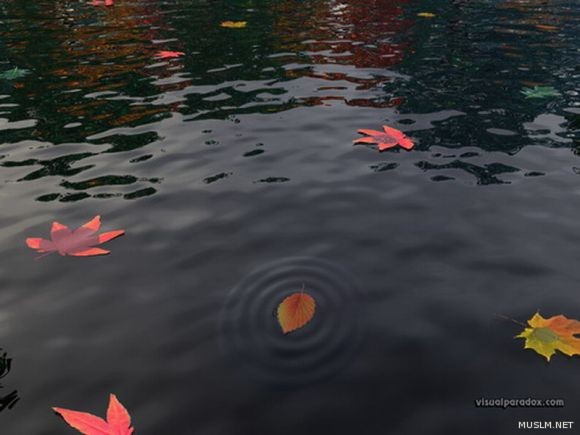 desktop 883