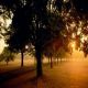 desktop 1212