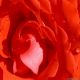 desktop 1467