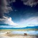 desktop 1580