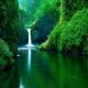 desktop 1597