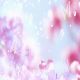 desktop 206