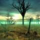 desktop 343