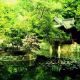 desktop 37
