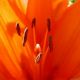desktop 370