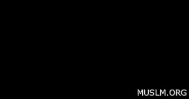  ..   5      10.85   