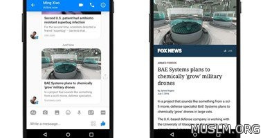    Instant Article          
