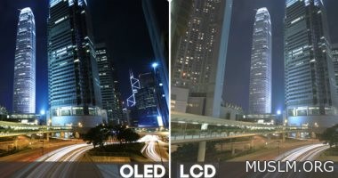       OLED    LCD