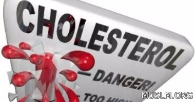 4 fruit fights cholesterol