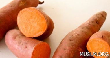 The list of foods for the winter