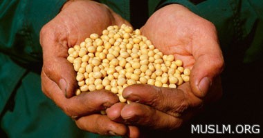   Trophic elements for a healthy life for the elderly 