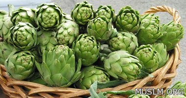 Useful nutritious foods for patients with liver disease