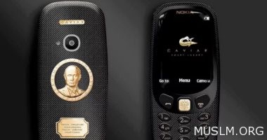     3310      