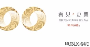 ZTE     Nubia Z17 mini  21 