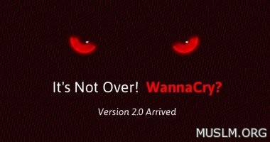  WannaCry  19   