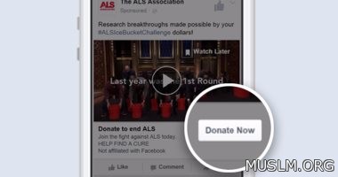      Donate Now    