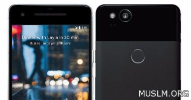      Pixel 2 Pixel 2 XL
