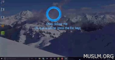Follow Me       10