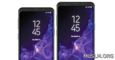     S10   X