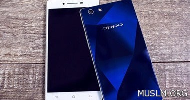    Oppo R1C     