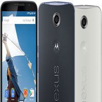      Nexus       