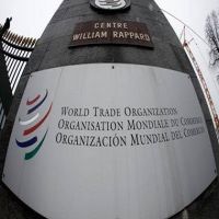          2016  