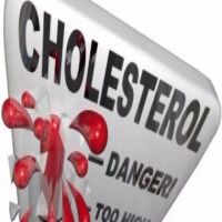 4 fruit fights cholesterol