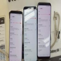 :   AMOLD      S8